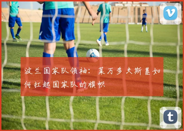 波兰国家队领袖：莱万多夫斯基如何扛起国家队的旗帜