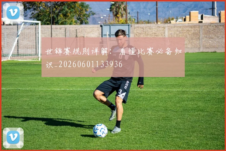 世锦赛规则详解：看懂比赛必备知识_20260601133936